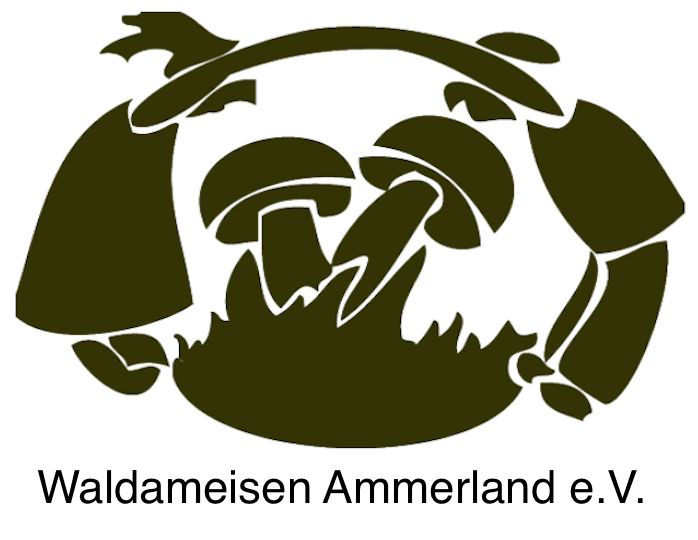 Waldkindergarten